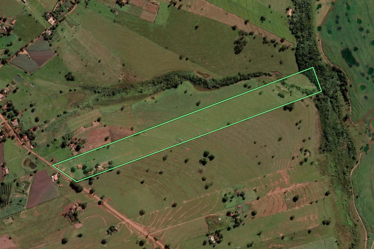 Imagem de satélite do imóvel rural em São Francisco (SP), com o contorno declarado no CAR desenhado por cima.