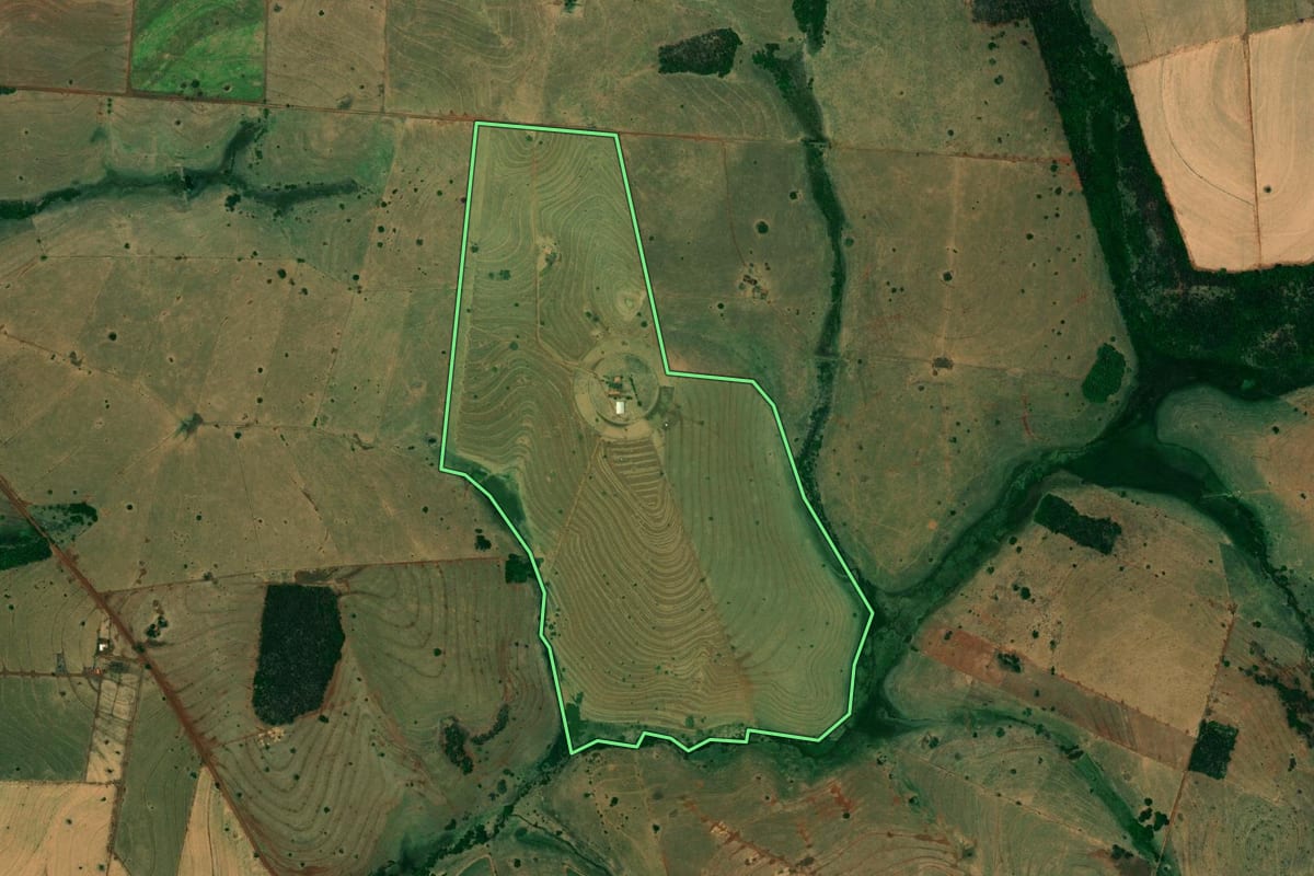 Imagem de satélite do imóvel rural em São Francisco (SP), com o contorno declarado no CAR desenhado por cima.
