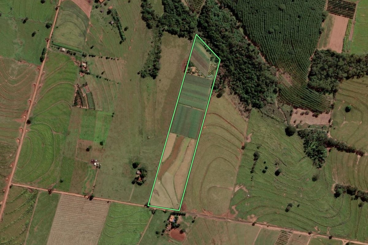 Imagem de satélite do imóvel rural em São Francisco (SP), com o contorno declarado no CAR desenhado por cima.