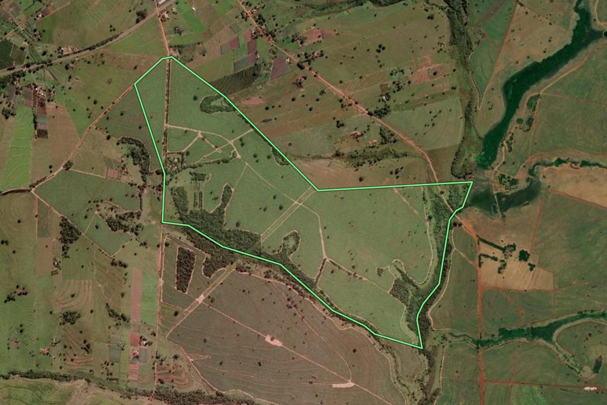 Imagem de satélite do imóvel rural em São Francisco (SP), com o contorno declarado no CAR desenhado por cima.