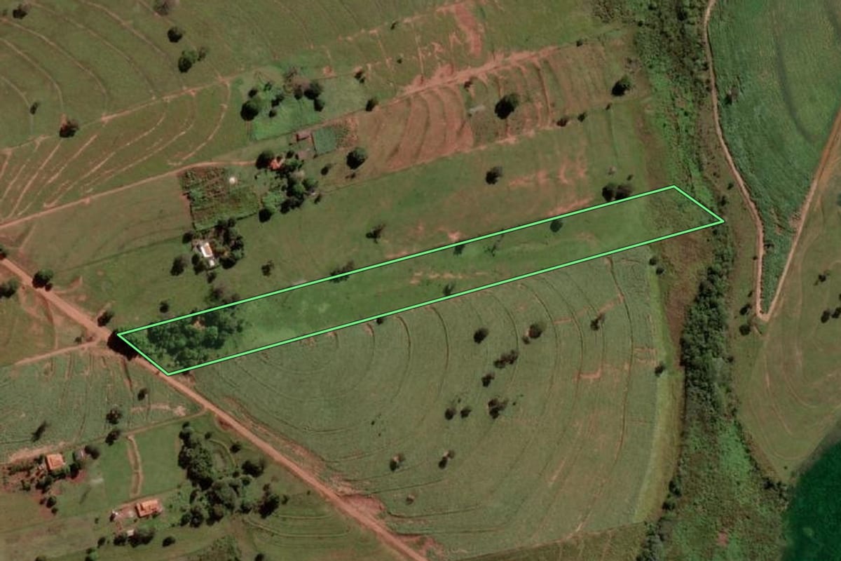 Imagem de satélite do imóvel rural em São Francisco (SP), com o contorno declarado no CAR desenhado por cima.