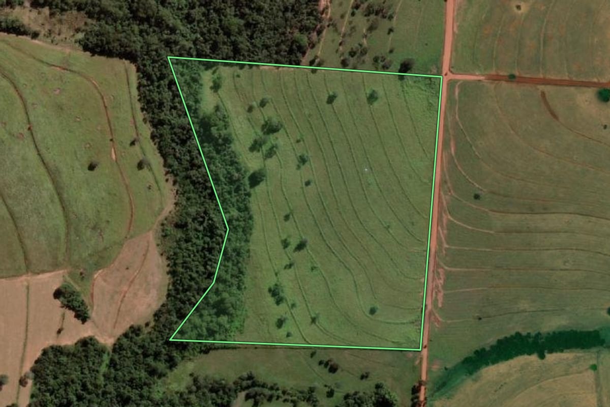 Imagem de satélite do imóvel rural em São Francisco (SP), com o contorno declarado no CAR desenhado por cima.