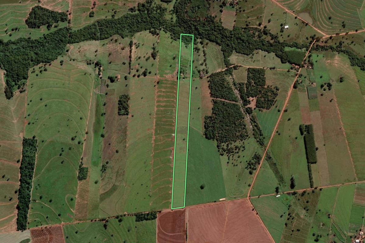Imagem de satélite do imóvel rural em São Francisco (SP), com o contorno declarado no CAR desenhado por cima.