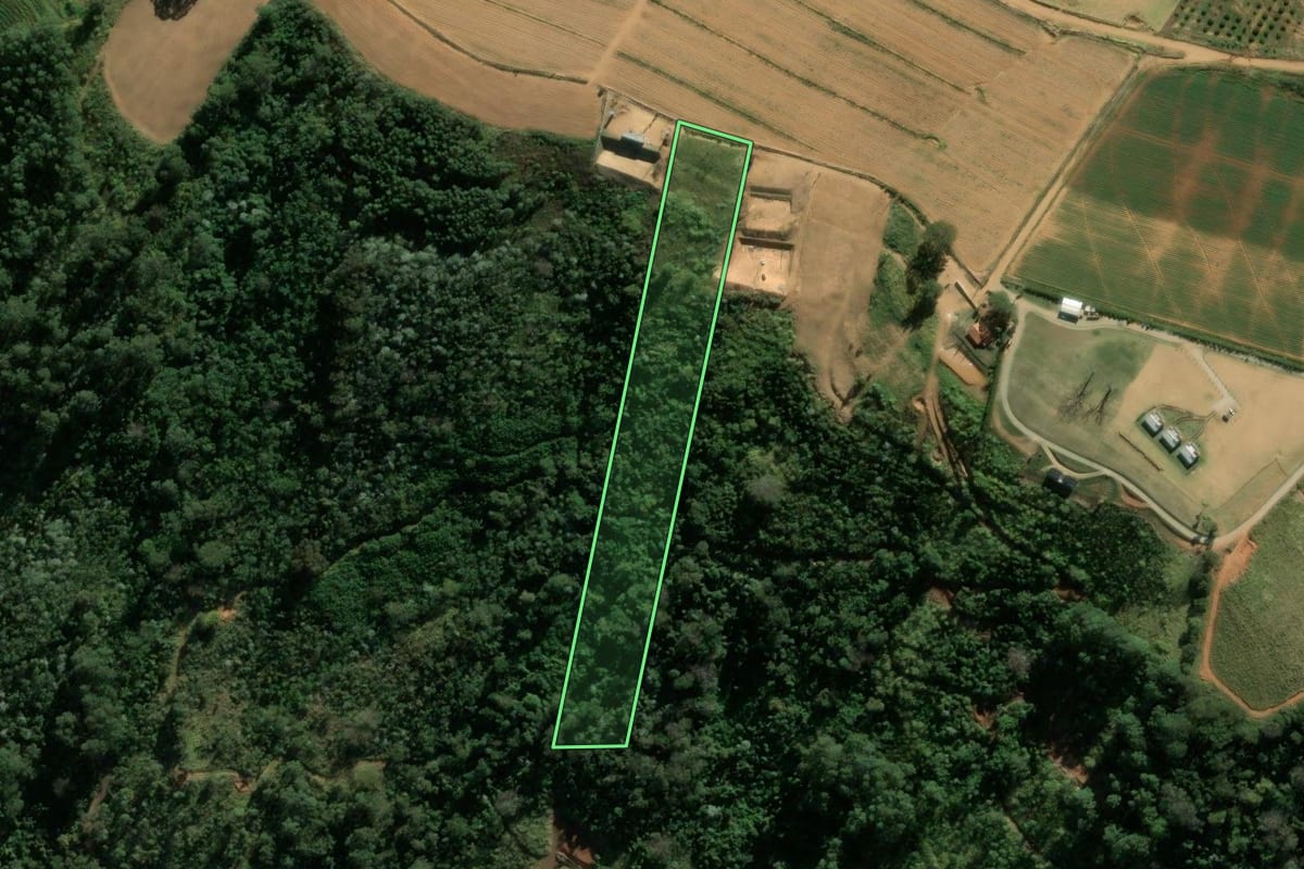 Imagem de satélite do imóvel rural em São João da Boa Vista (SP), com o contorno declarado no CAR desenhado por cima.