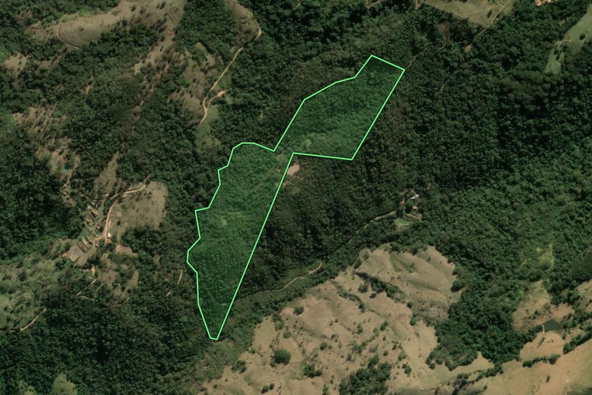 Imagem de satélite do imóvel rural em São João da Boa Vista (SP), com o contorno declarado no CAR desenhado por cima.