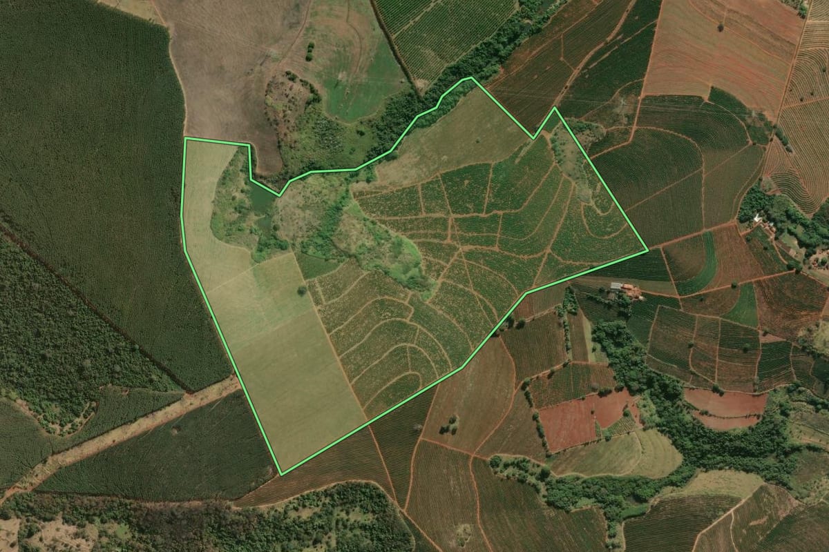 Imagem de satélite do imóvel rural em São João da Boa Vista (SP), com o contorno declarado no CAR desenhado por cima.
