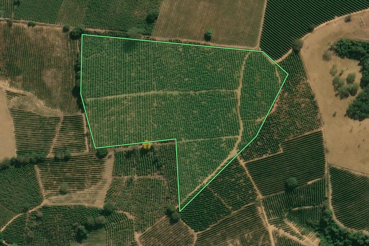 Imagem de satélite do imóvel rural em São João da Boa Vista (SP), com o contorno declarado no CAR desenhado por cima.