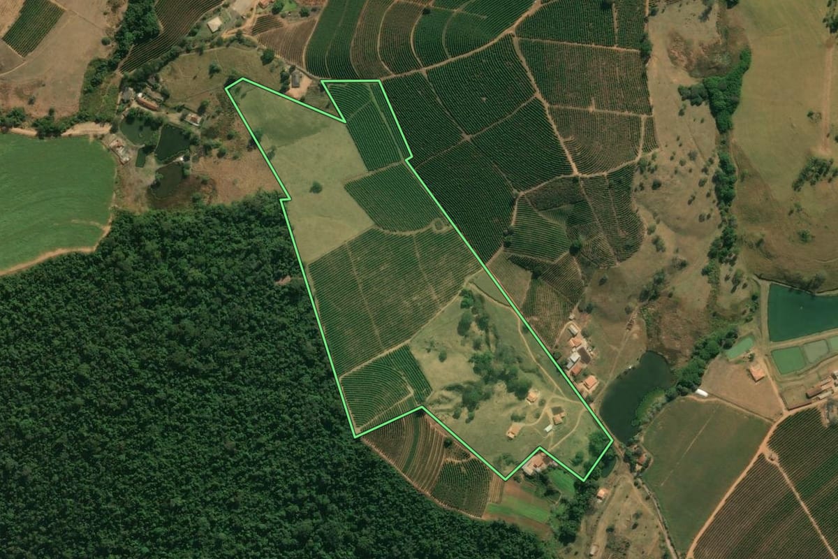 Imagem de satélite do imóvel rural em São João da Boa Vista (SP), com o contorno declarado no CAR desenhado por cima.