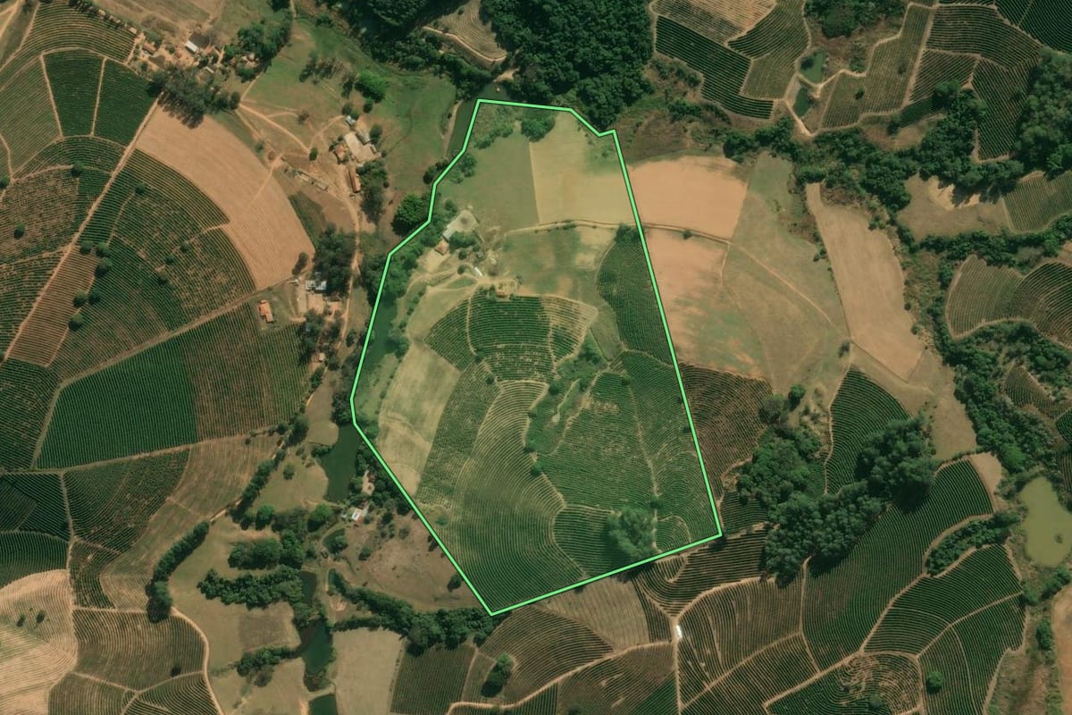 Imagem de satélite do imóvel rural em São João da Boa Vista (SP), com o contorno declarado no CAR desenhado por cima.