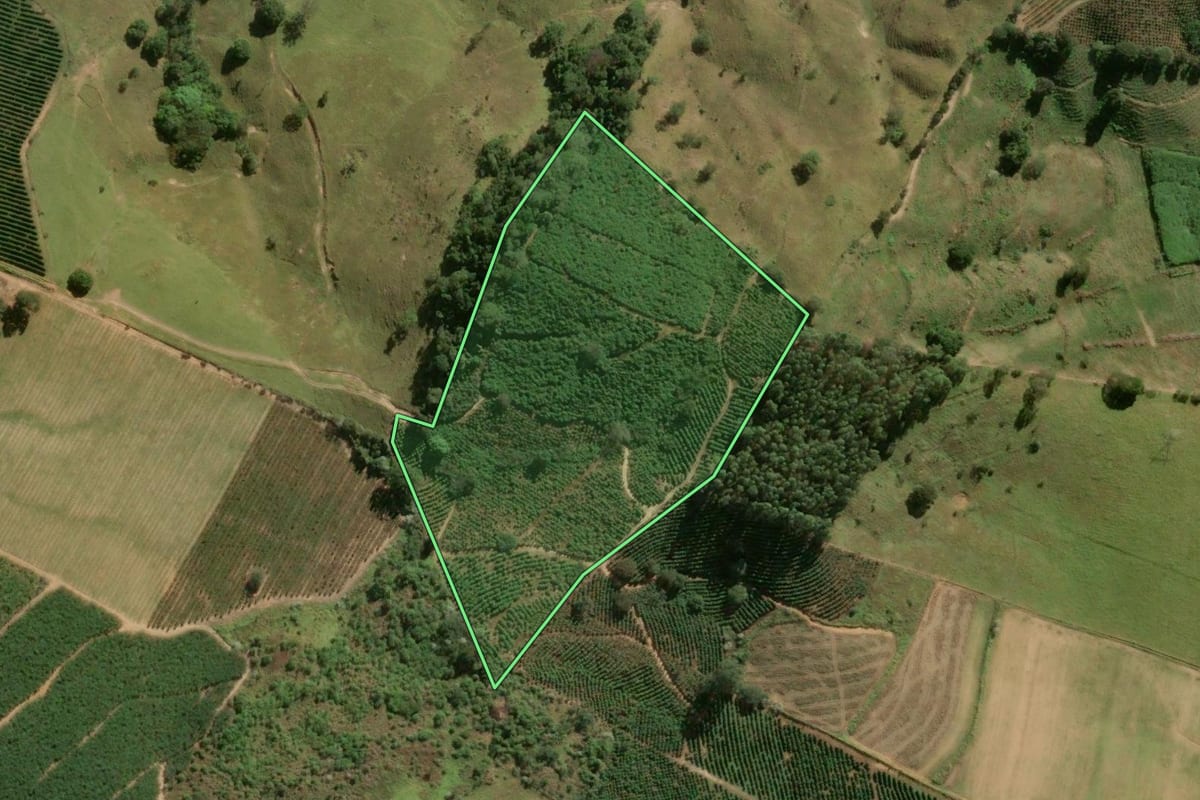 Imagem de satélite do imóvel rural em São João da Boa Vista (SP), com o contorno declarado no CAR desenhado por cima.