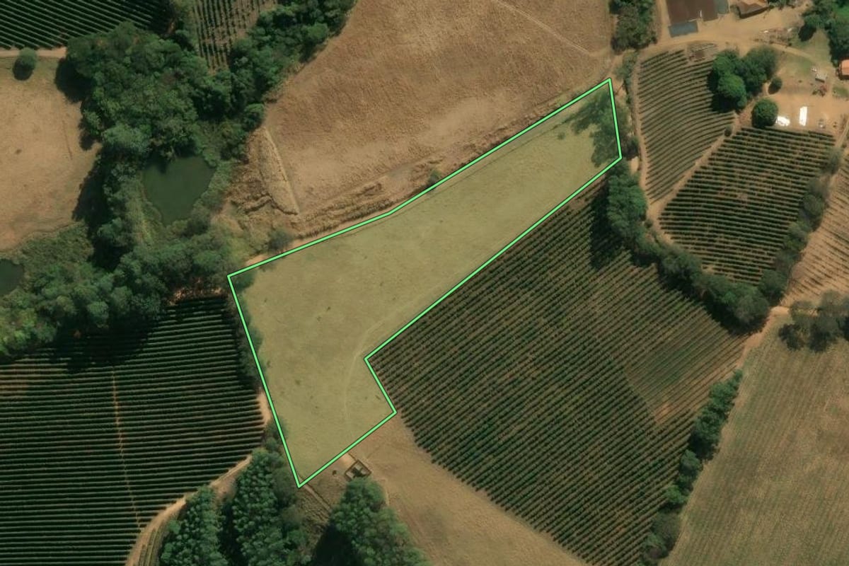 Imagem de satélite do imóvel rural em São João da Boa Vista (SP), com o contorno declarado no CAR desenhado por cima.