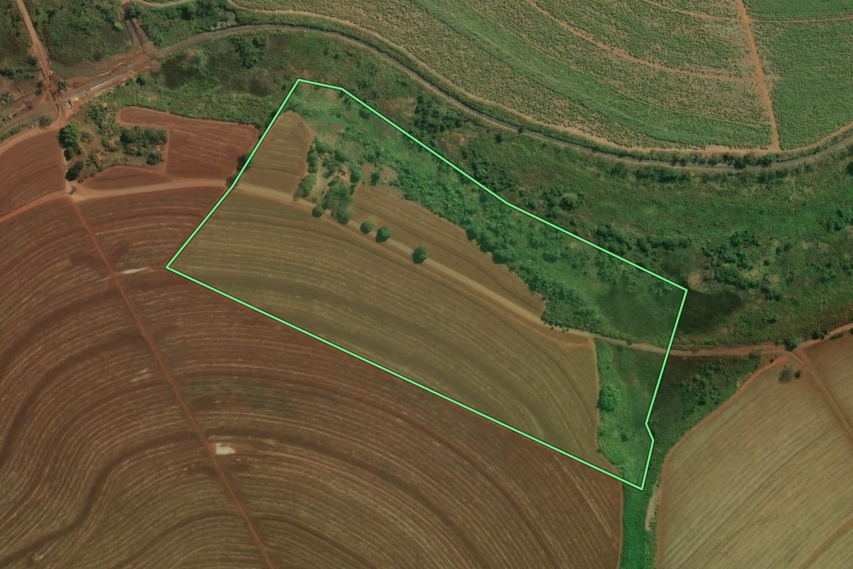 Imagem de satélite do imóvel rural em São João da Boa Vista (SP), com o contorno declarado no CAR desenhado por cima.