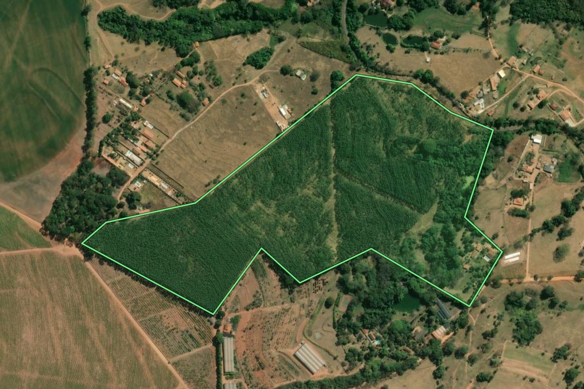 Imagem de satélite do imóvel rural em São João da Boa Vista (SP), com o contorno declarado no CAR desenhado por cima.