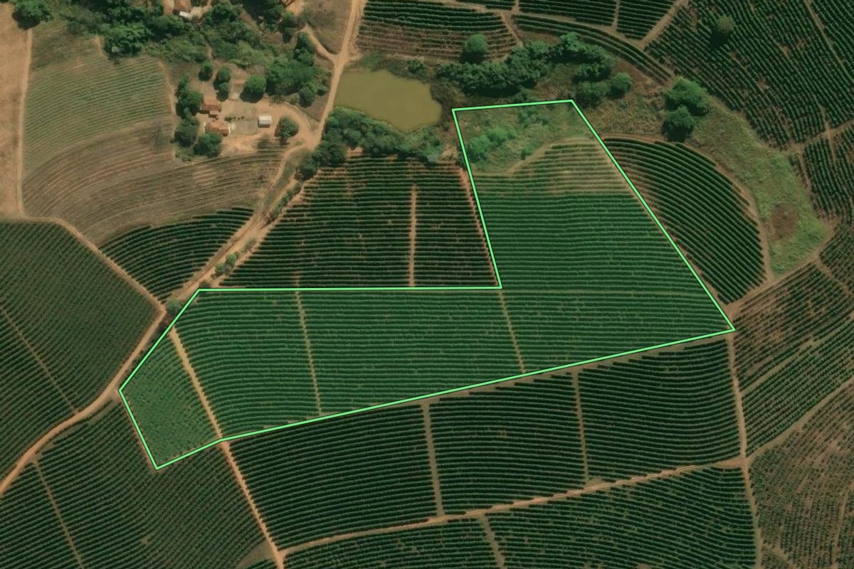 Imagem de satélite do imóvel rural em São João da Boa Vista (SP), com o contorno declarado no CAR desenhado por cima.
