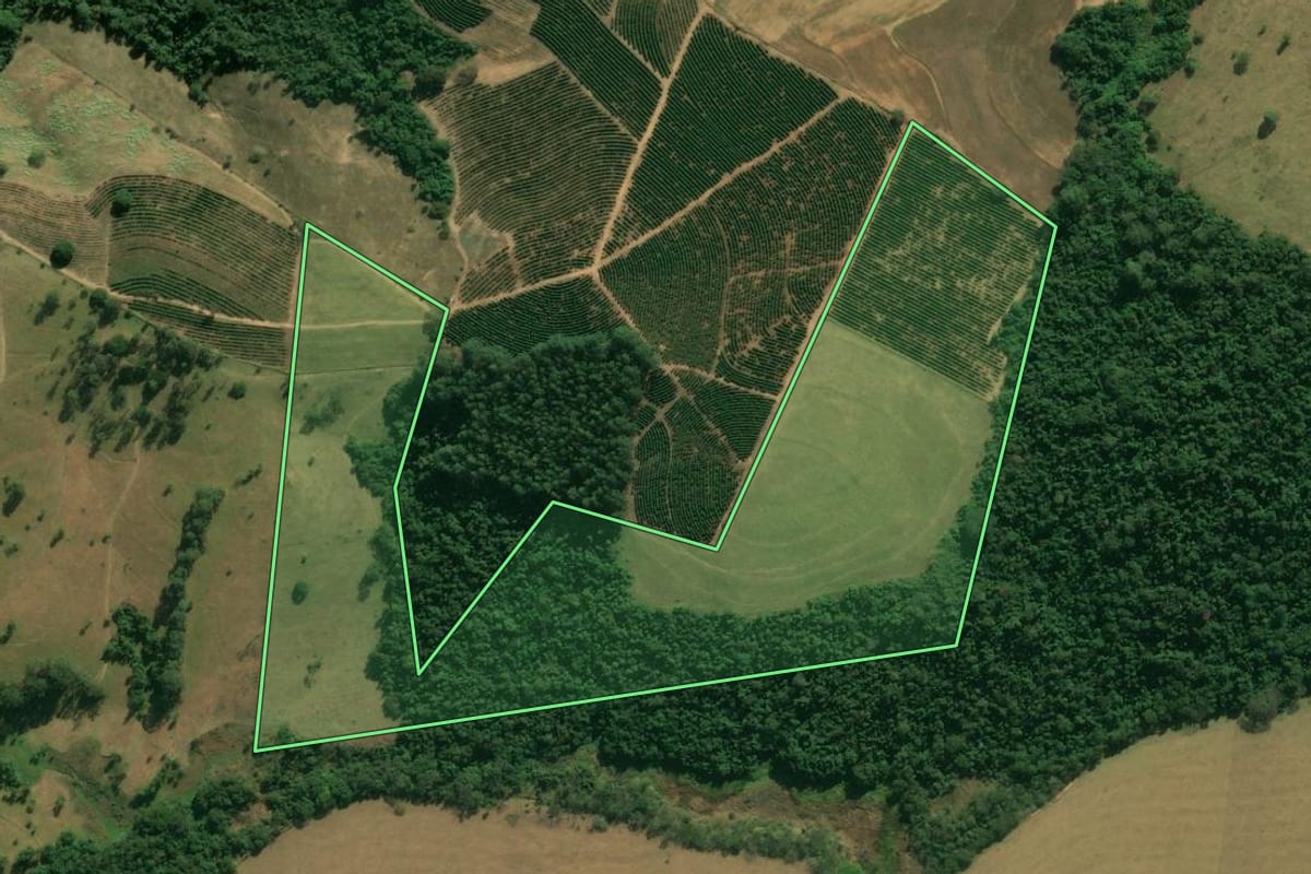 Imagem de satélite do imóvel rural em São João da Boa Vista (SP), com o contorno declarado no CAR desenhado por cima.