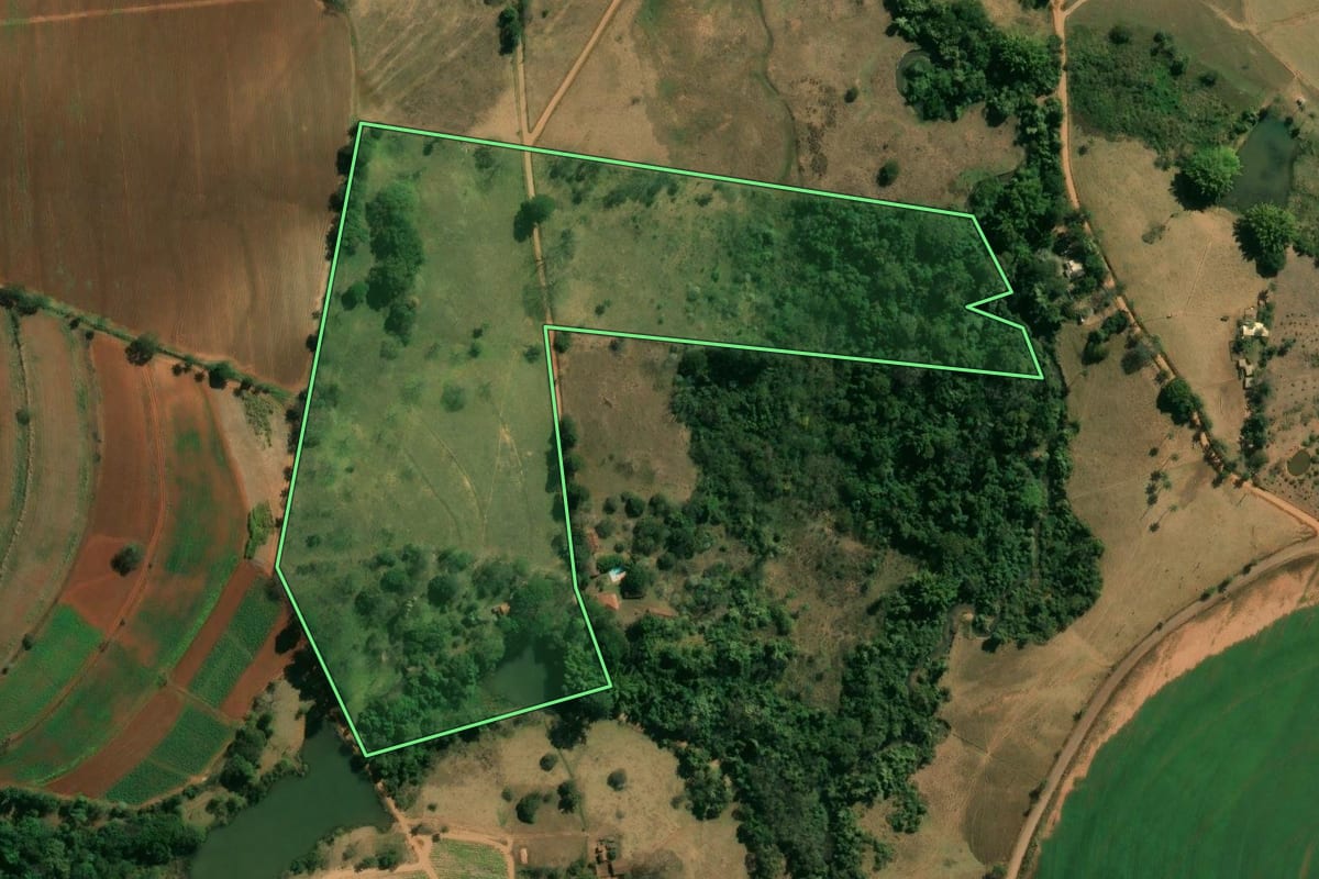 Imagem de satélite do imóvel rural em São João da Boa Vista (SP), com o contorno declarado no CAR desenhado por cima.