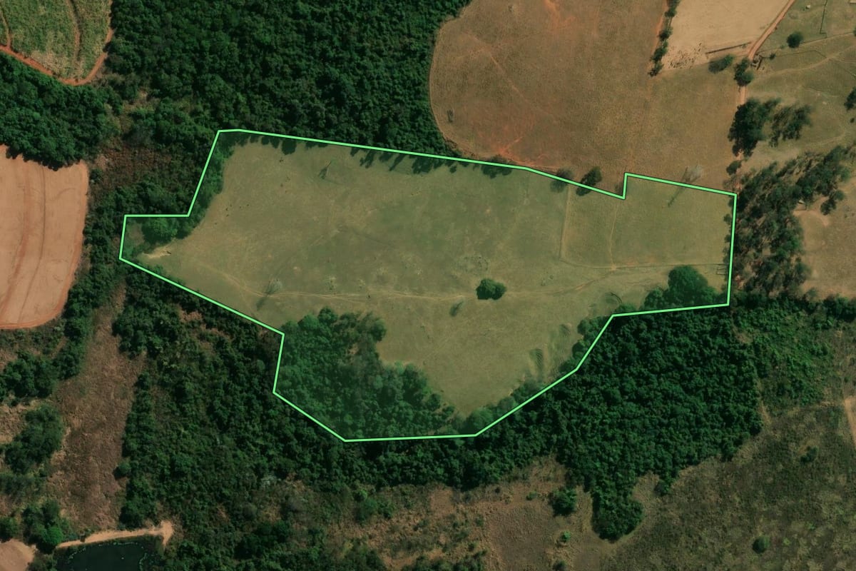 Imagem de satélite do imóvel rural em São João da Boa Vista (SP), com o contorno declarado no CAR desenhado por cima.