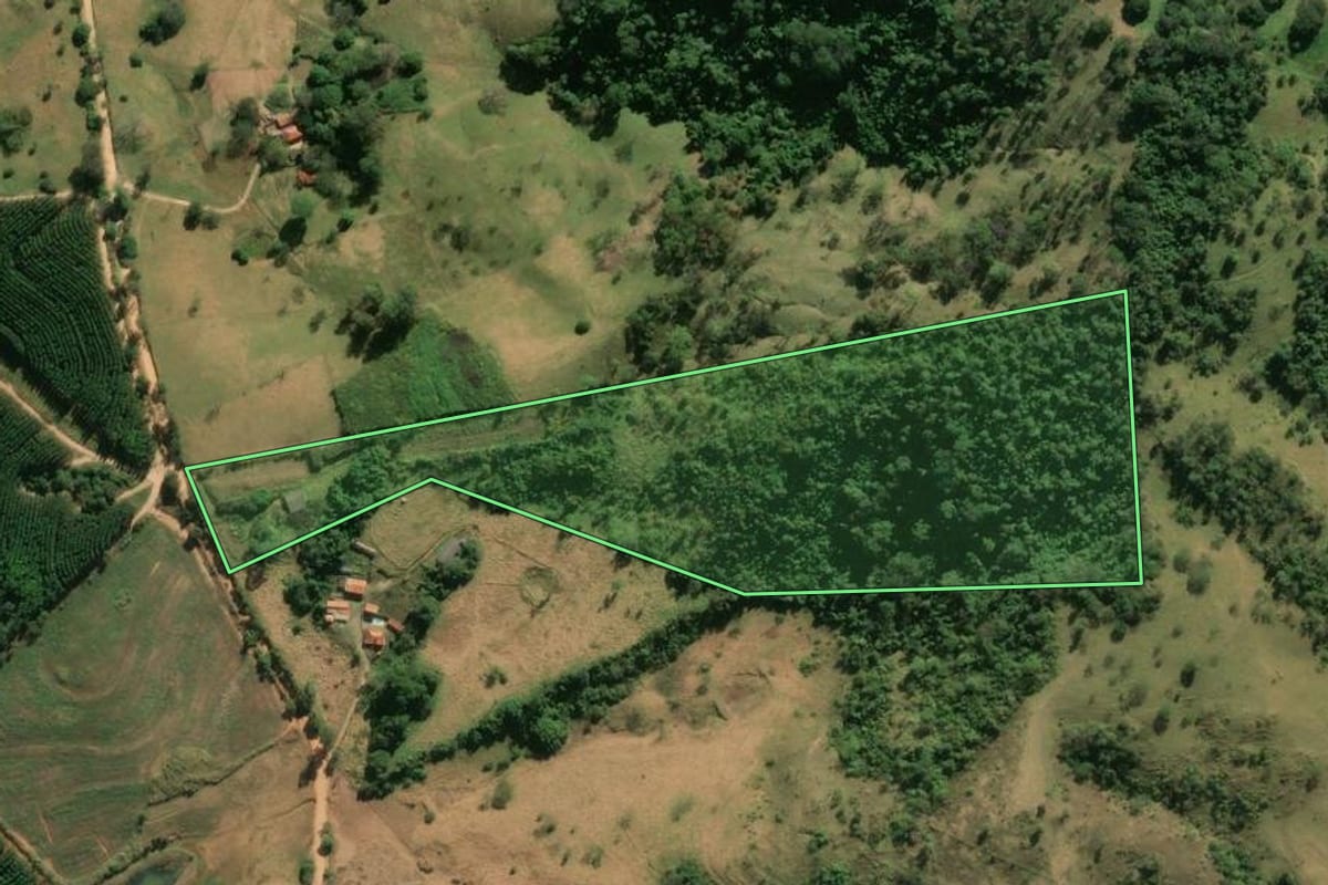 Imagem de satélite do imóvel rural em São João da Boa Vista (SP), com o contorno declarado no CAR desenhado por cima.