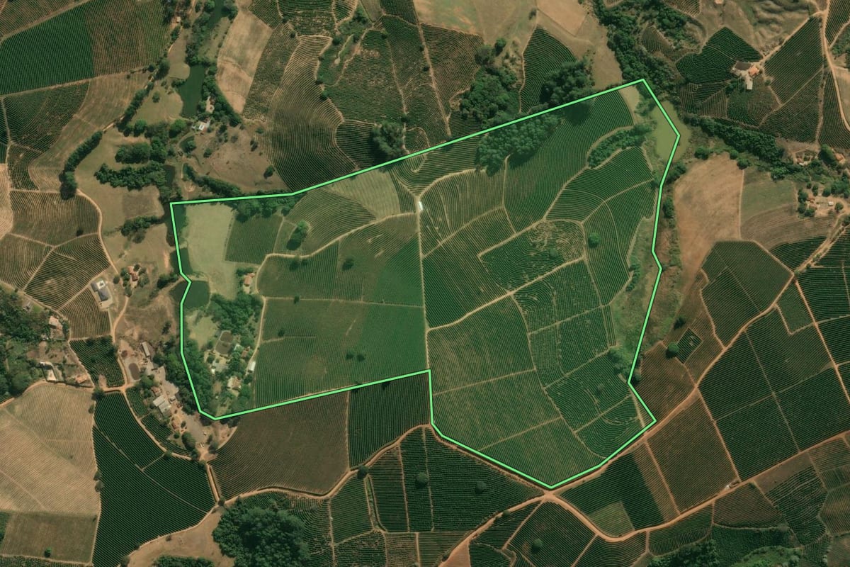 Imagem de satélite do imóvel rural em São João da Boa Vista (SP), com o contorno declarado no CAR desenhado por cima.