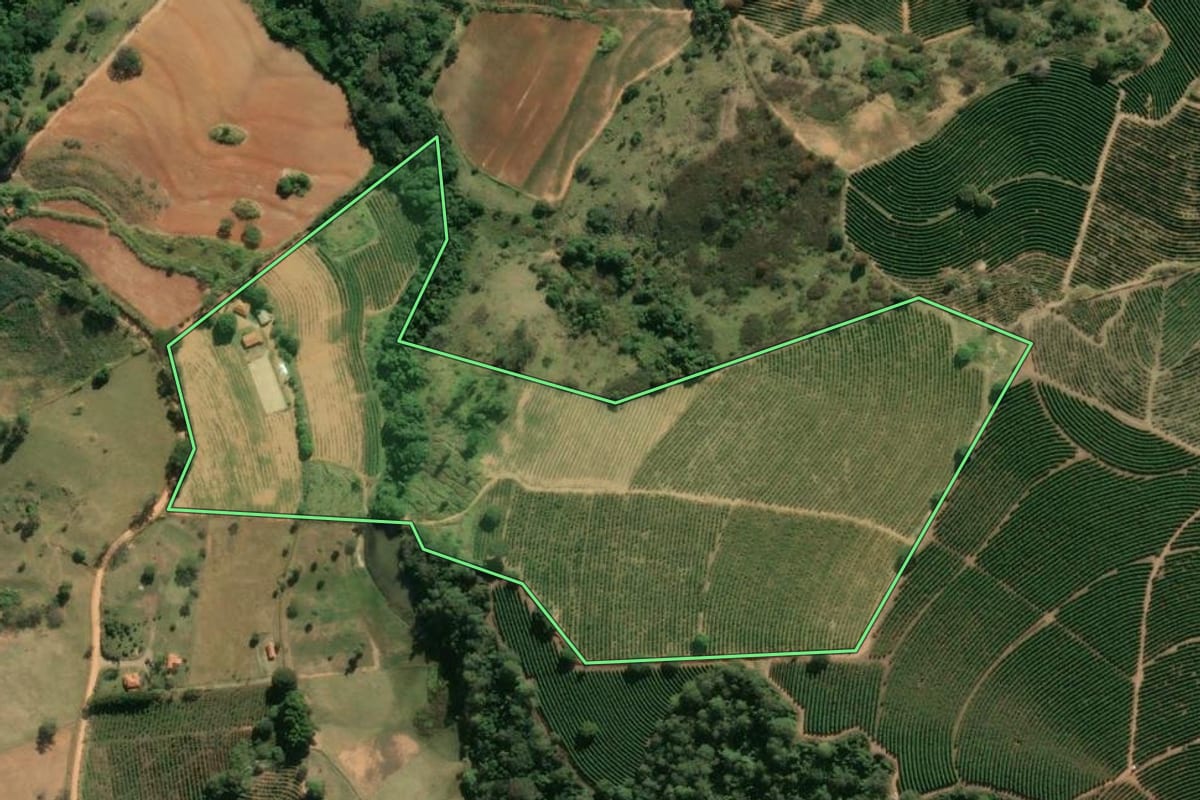 Imagem de satélite do imóvel rural em São João da Boa Vista (SP), com o contorno declarado no CAR desenhado por cima.