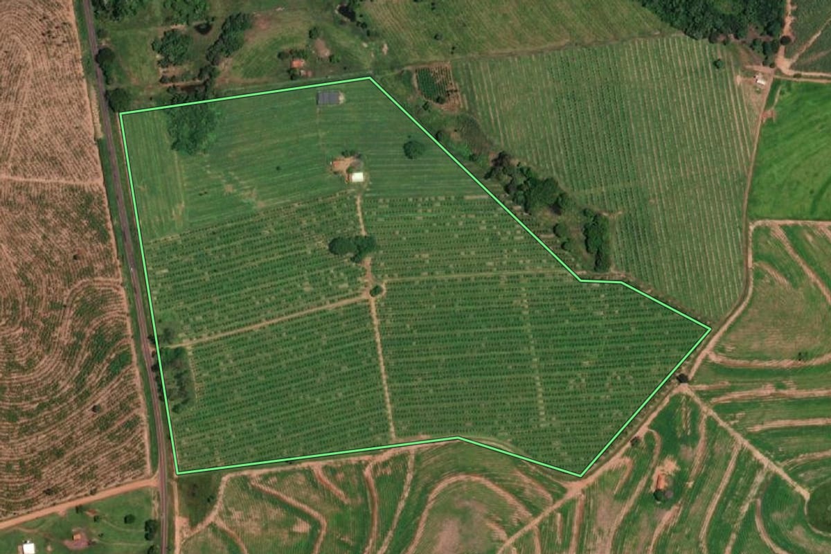 Imagem de satélite do imóvel rural em São João das Duas Pontes (SP), com o contorno declarado no CAR desenhado por cima.