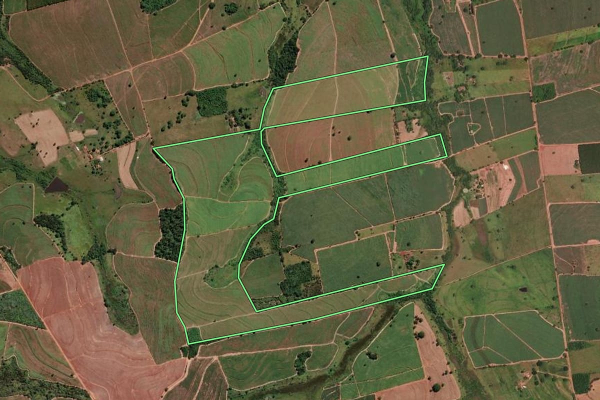Imagem de satélite do imóvel rural em São João de Iracema (SP), com o contorno declarado no CAR desenhado por cima.