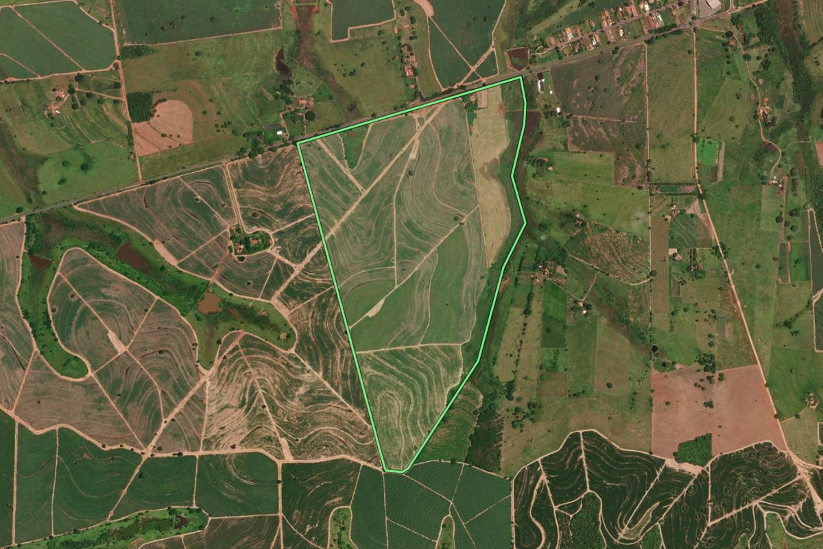 Imagem de satélite do imóvel rural em São João de Iracema (SP), com o contorno declarado no CAR desenhado por cima.