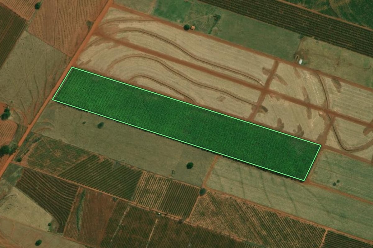 Imagem de satélite do imóvel rural em São João do Pau d'Alho (SP), com o contorno declarado no CAR desenhado por cima.