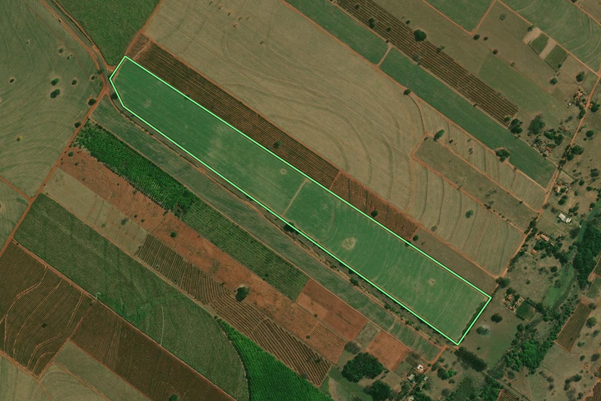 Imagem de satélite do imóvel rural em São João do Pau d'Alho (SP), com o contorno declarado no CAR desenhado por cima.