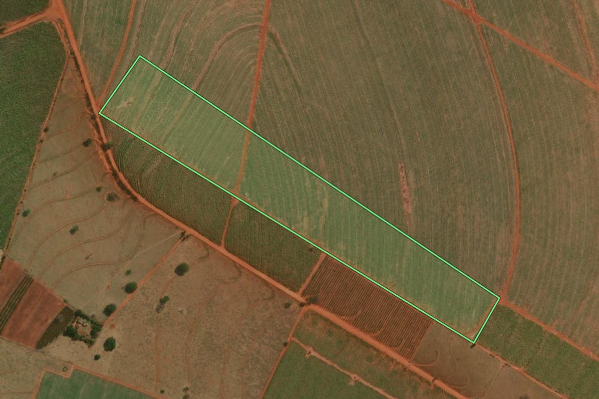 Imagem de satélite do imóvel rural em São João do Pau d'Alho (SP), com o contorno declarado no CAR desenhado por cima.