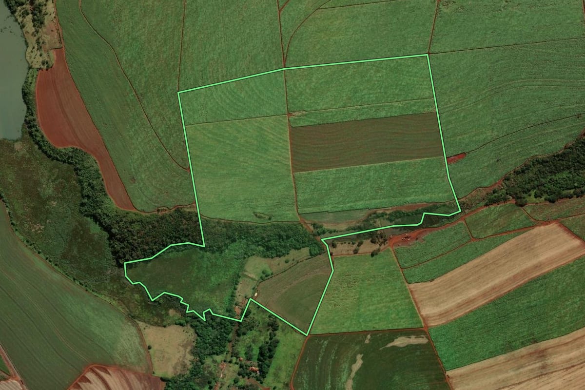 Imagem de satélite do imóvel rural em São Joaquim da Barra (SP), com o contorno declarado no CAR desenhado por cima.