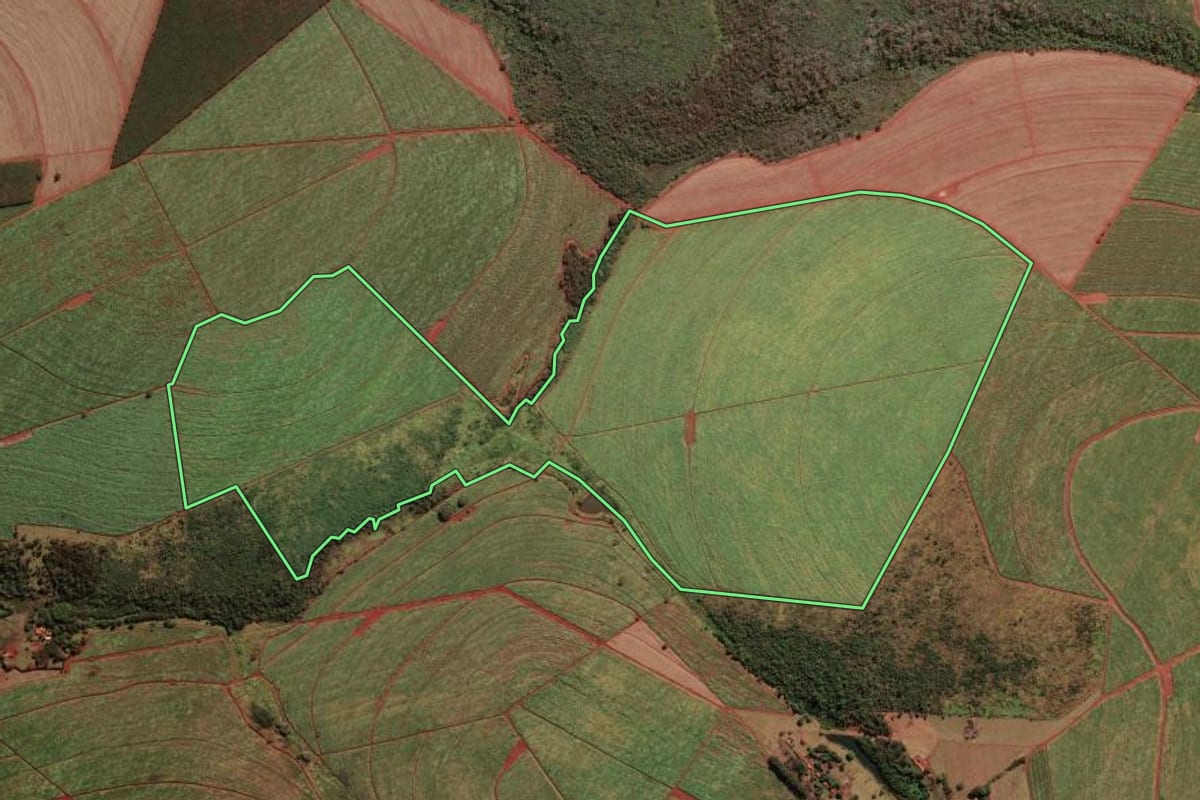 Imagem de satélite do imóvel rural em São Joaquim da Barra (SP), com o contorno declarado no CAR desenhado por cima.