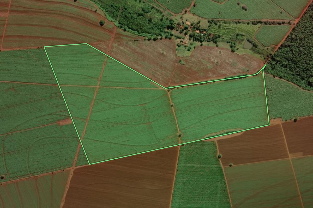 Imagem de satélite do imóvel rural em São Joaquim da Barra (SP), com o contorno declarado no CAR desenhado por cima.