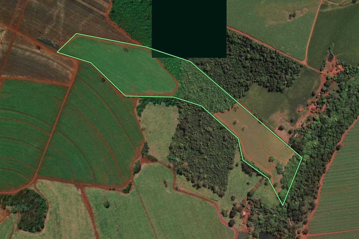 Imagem de satélite do imóvel rural em São Joaquim da Barra (SP), com o contorno declarado no CAR desenhado por cima.
