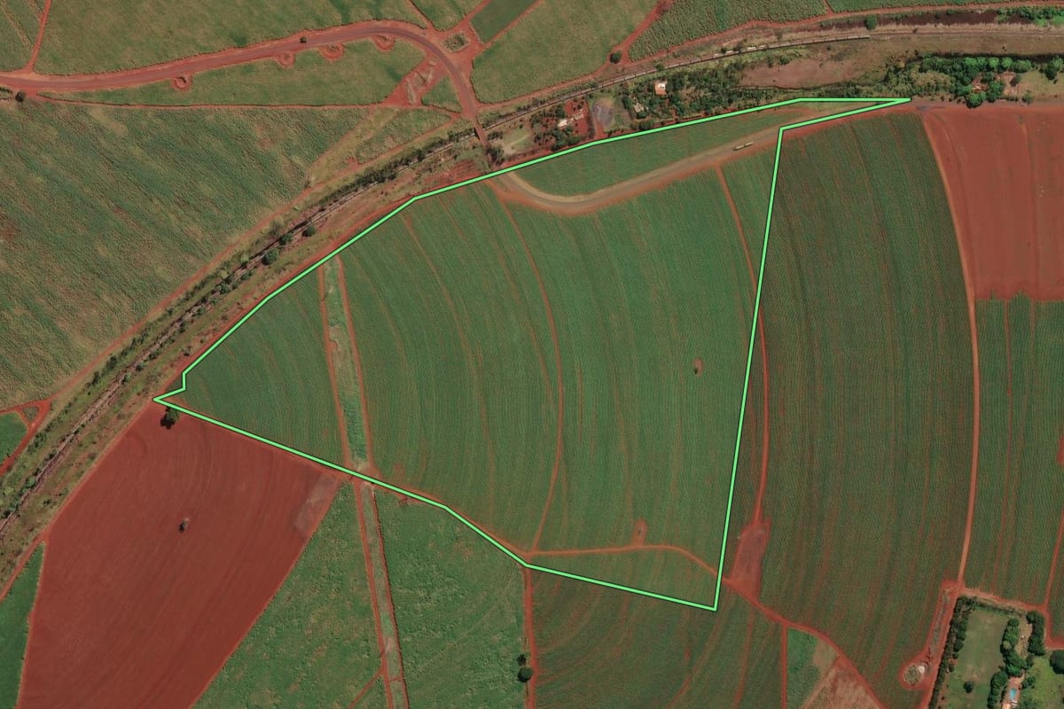 Imagem de satélite do imóvel rural em São Joaquim da Barra (SP), com o contorno declarado no CAR desenhado por cima.