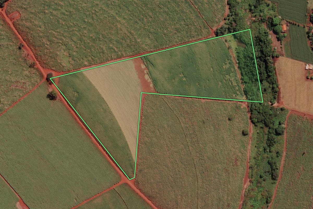 Imagem de satélite do imóvel rural em São Joaquim da Barra (SP), com o contorno declarado no CAR desenhado por cima.