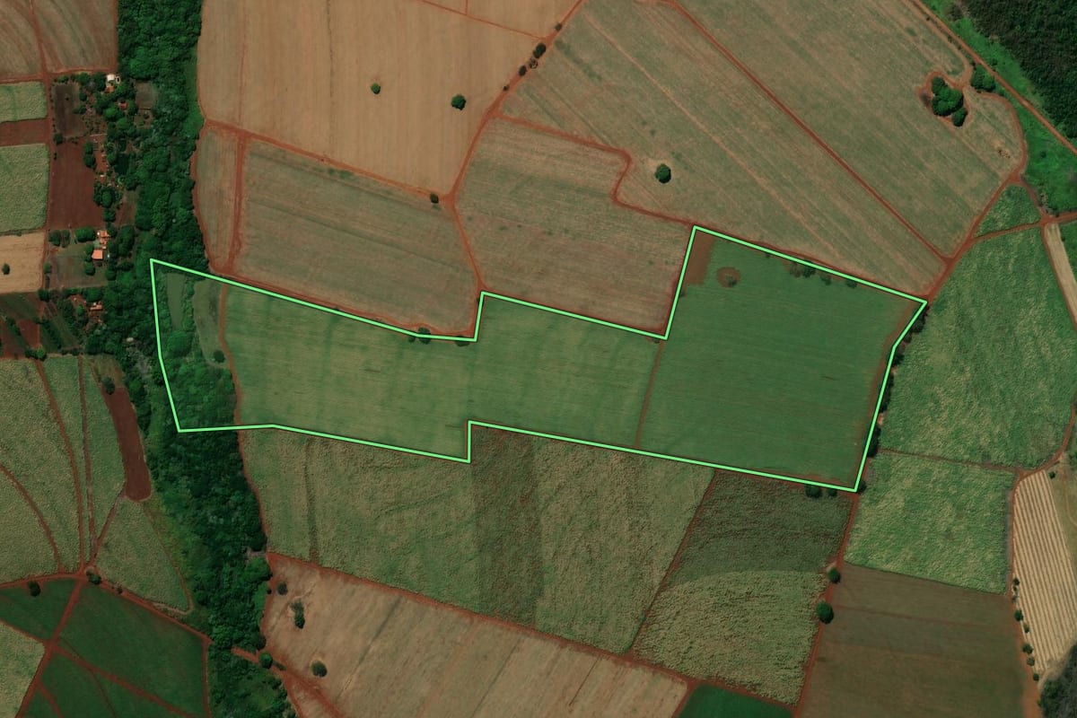 Imagem de satélite do imóvel rural em São Joaquim da Barra (SP), com o contorno declarado no CAR desenhado por cima.