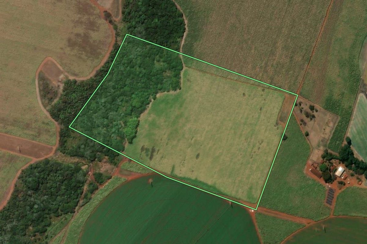 Imagem de satélite do imóvel rural em São Joaquim da Barra (SP), com o contorno declarado no CAR desenhado por cima.