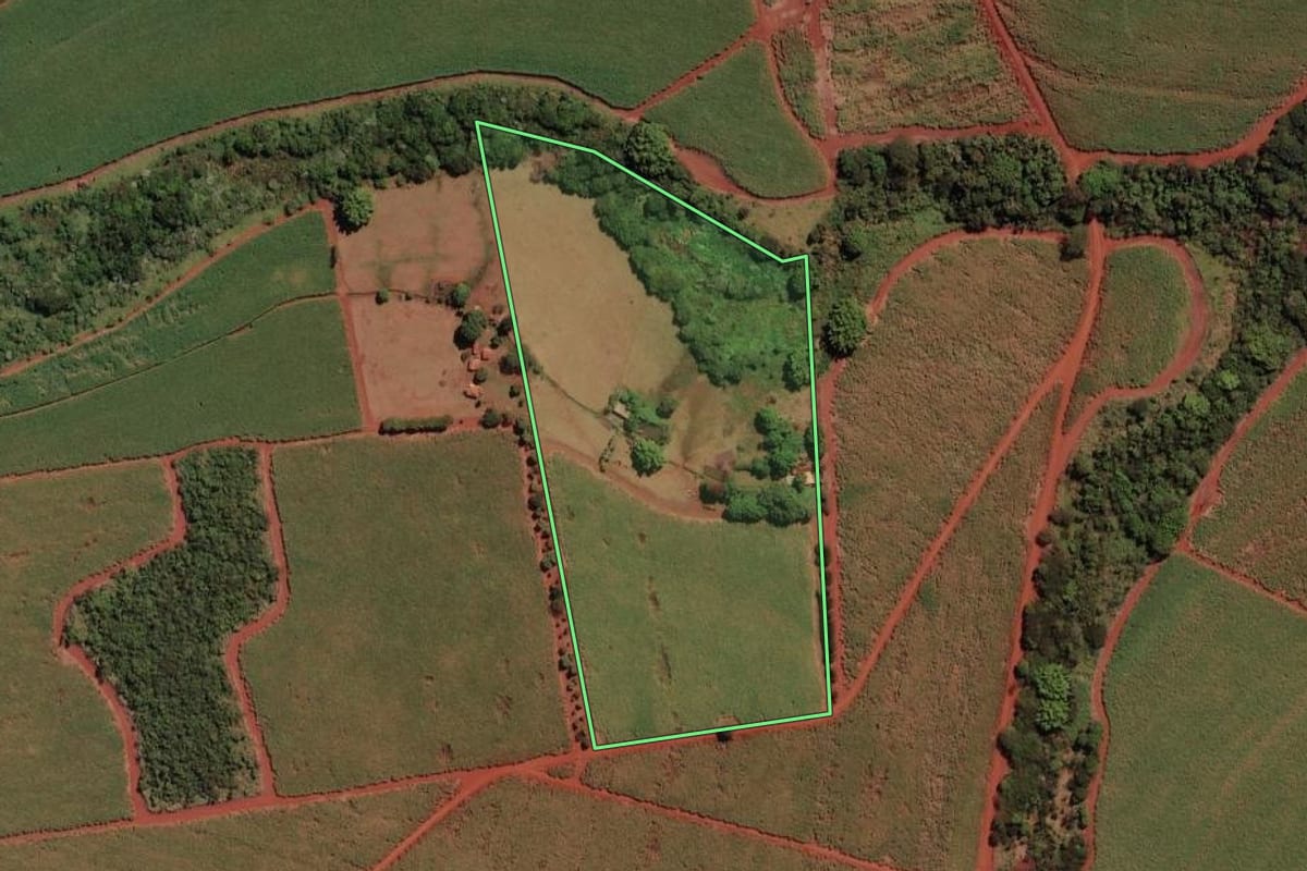Imagem de satélite do imóvel rural em São Joaquim da Barra (SP), com o contorno declarado no CAR desenhado por cima.