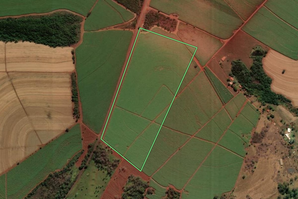 Imagem de satélite do imóvel rural em São José da Bela Vista (SP), com o contorno declarado no CAR desenhado por cima.