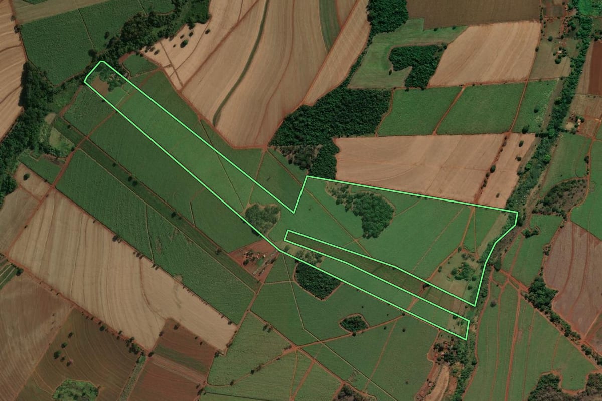 Imagem de satélite do imóvel rural em São José da Bela Vista (SP), com o contorno declarado no CAR desenhado por cima.