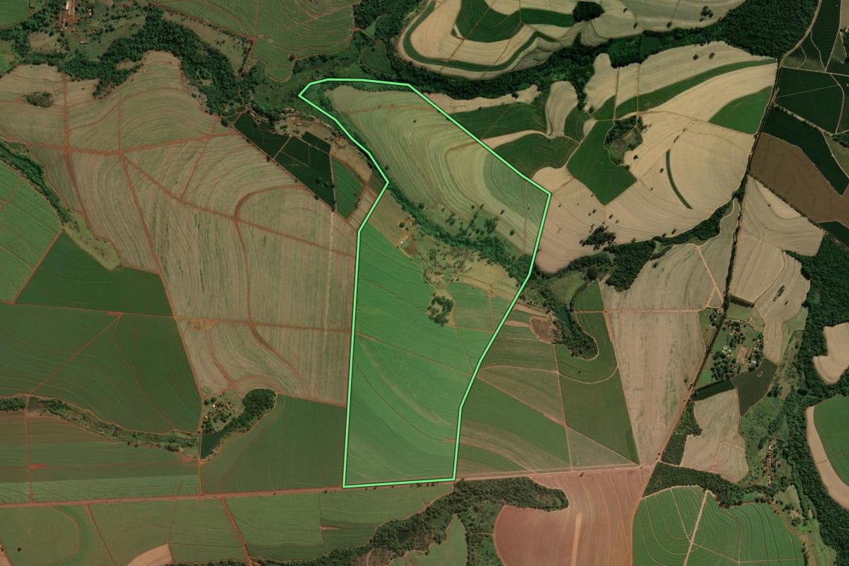 Imagem de satélite do imóvel rural em São José da Bela Vista (SP), com o contorno declarado no CAR desenhado por cima.