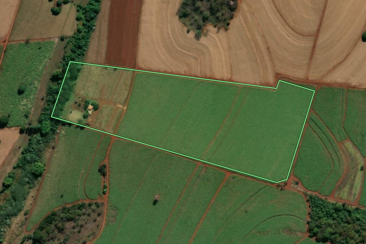 Imagem de satélite do imóvel rural em São José da Bela Vista (SP), com o contorno declarado no CAR desenhado por cima.