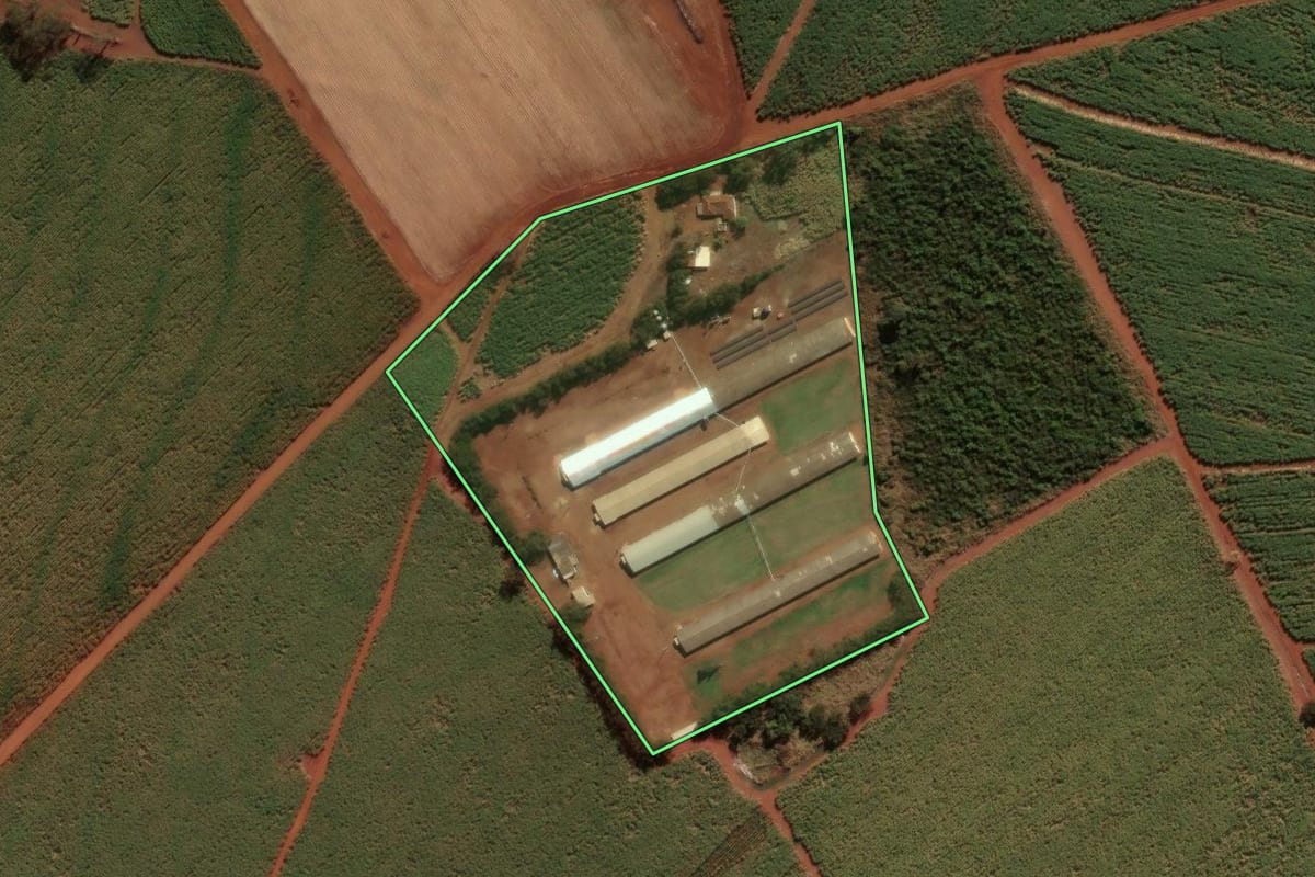 Imagem de satélite do imóvel rural em São José da Bela Vista (SP), com o contorno declarado no CAR desenhado por cima.