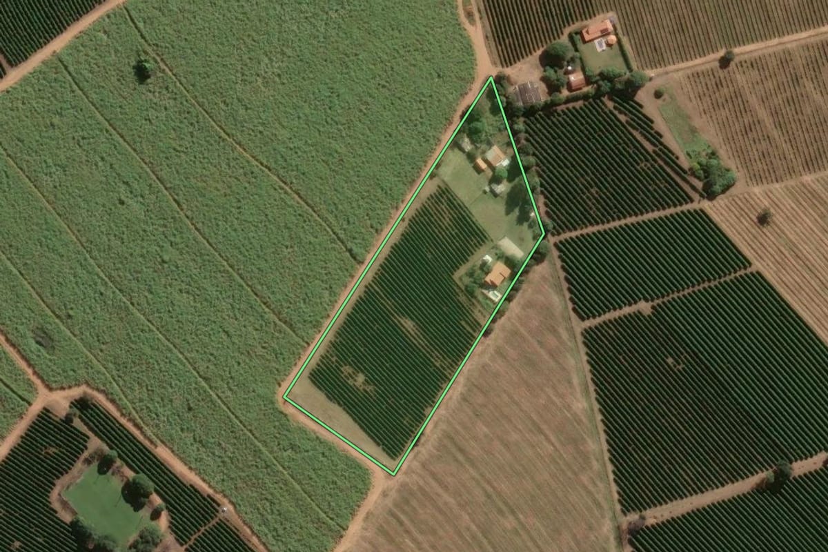 Imagem de satélite do imóvel rural em São José da Bela Vista (SP), com o contorno declarado no CAR desenhado por cima.