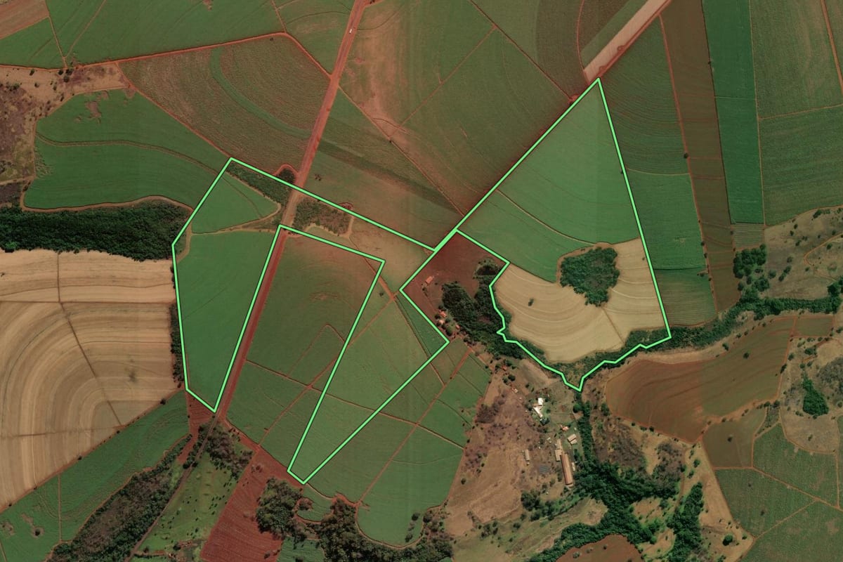Imagem de satélite do imóvel rural em São José da Bela Vista (SP), com o contorno declarado no CAR desenhado por cima.
