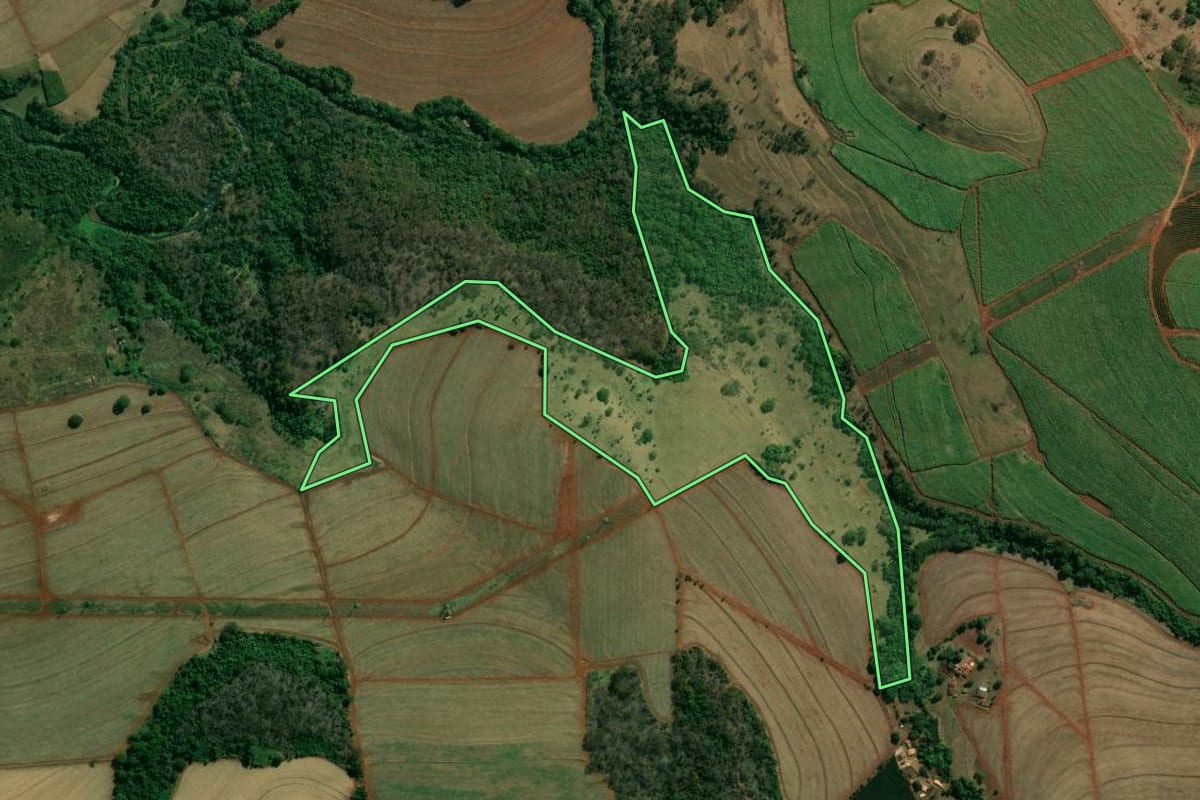 Imagem de satélite do imóvel rural em São José da Bela Vista (SP), com o contorno declarado no CAR desenhado por cima.
