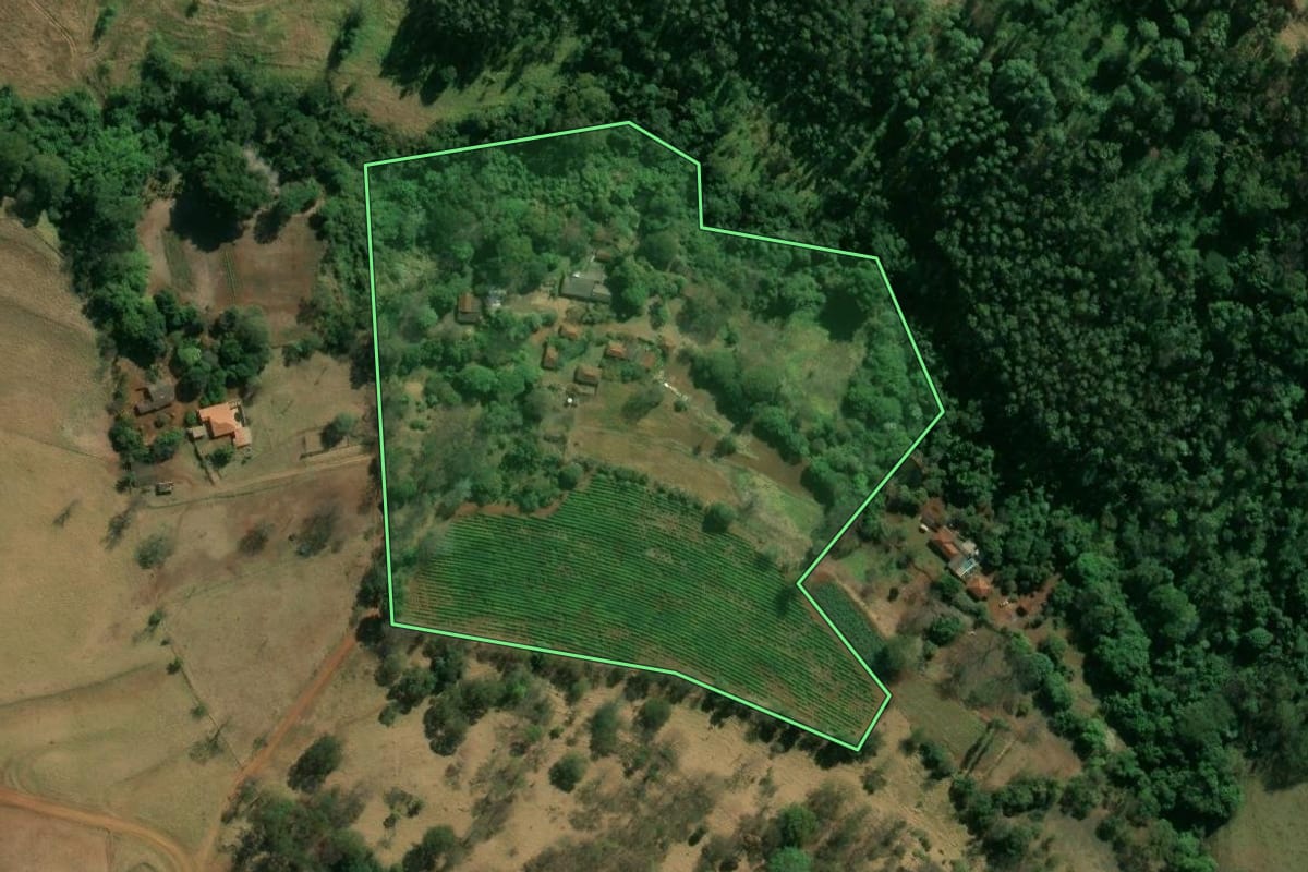 Imagem de satélite do imóvel rural em São José da Bela Vista (SP), com o contorno declarado no CAR desenhado por cima.