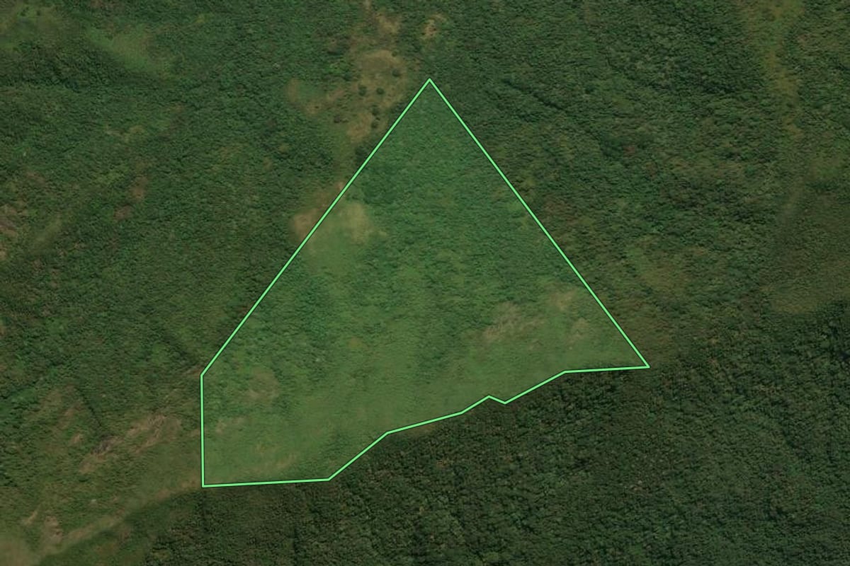Imagem de satélite do imóvel rural em São José do Barreiro (SP), com o contorno declarado no CAR desenhado por cima.