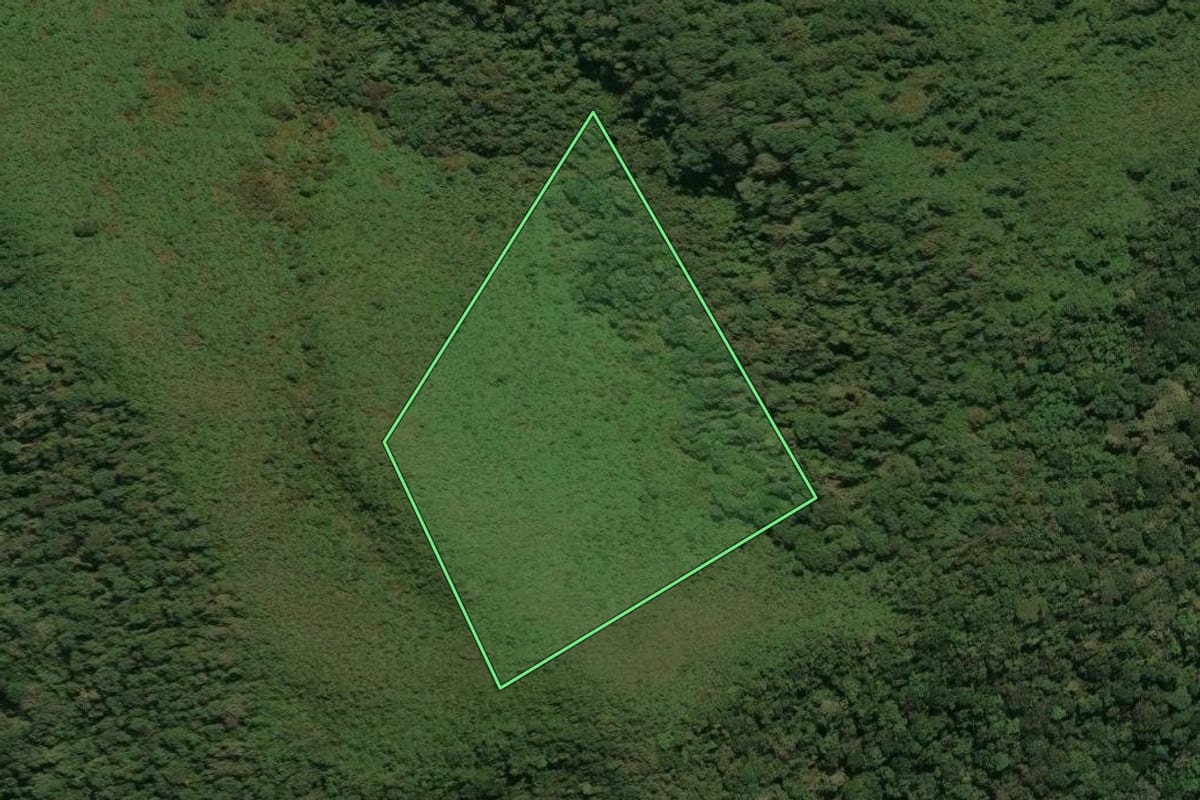Imagem de satélite do imóvel rural em São José do Barreiro (SP), com o contorno declarado no CAR desenhado por cima.